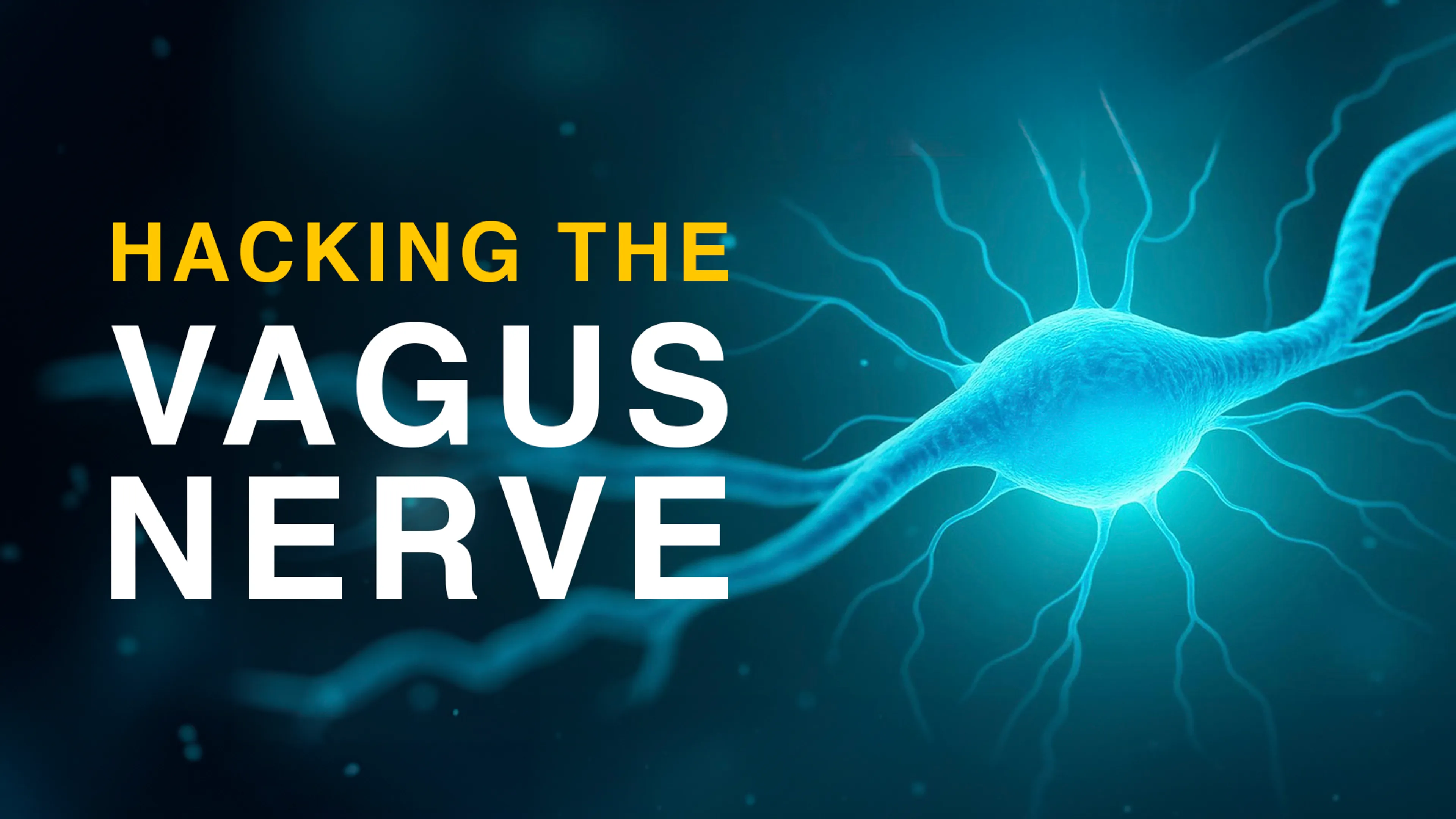 Hacking The Vagus Nerve poster